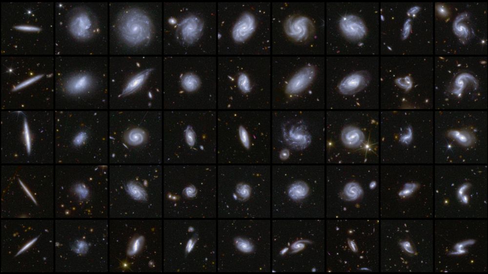 The image shows a grid of spiral galaxies, which appear in different sizes and shapes. Each galaxy is surrounded by a dark background and contains various spiral patterns. Credit: ESA/Euclid/Euclid Consortium/NASA, image processing by M. Walmsley, M. Huertas-Company, J.-C. Cuillandre