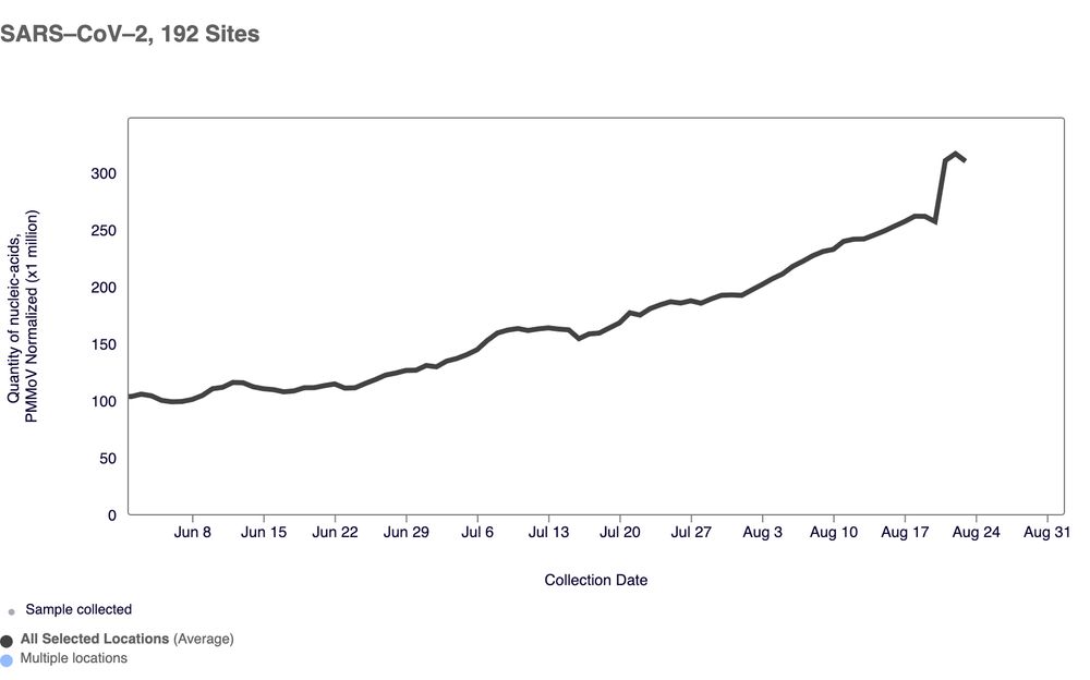 graph of sars-cov-2 showing increased wastewater concentration spiking in august