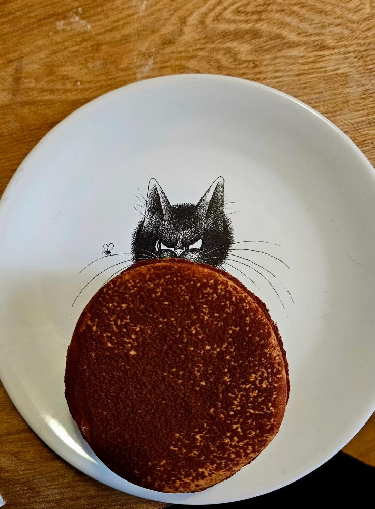Macaron vu du dessus dans une assiette chat
