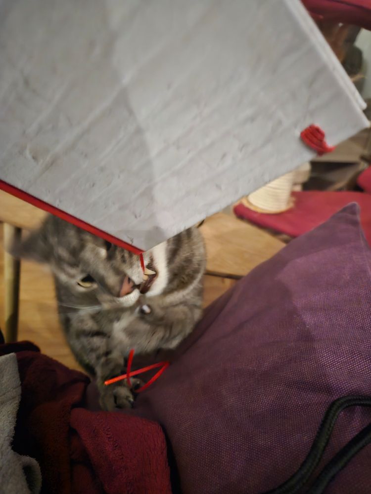 Pareil mais en plus on voit les longues canines du monstre 