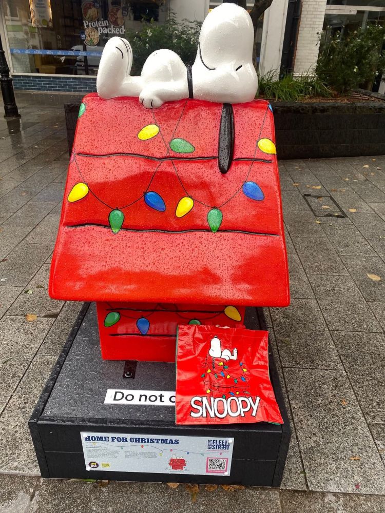 Snoopy couché sur une niche rouge 