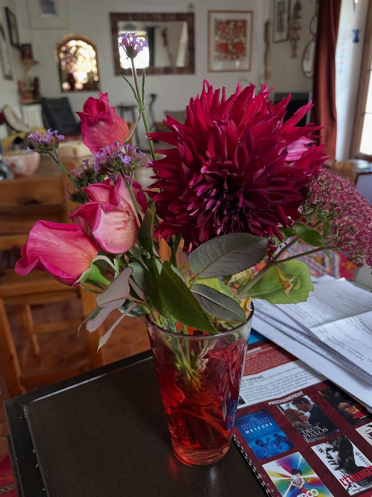 Fleurs du jardin. Loiret 