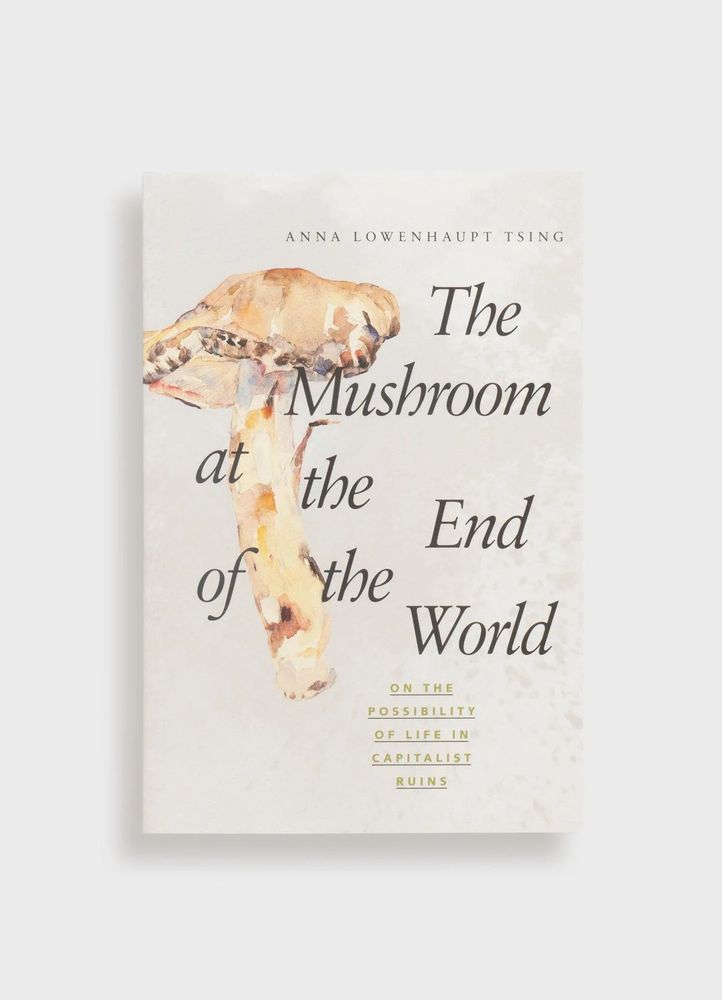 Cover of book - image courtesy Princeton University Press.