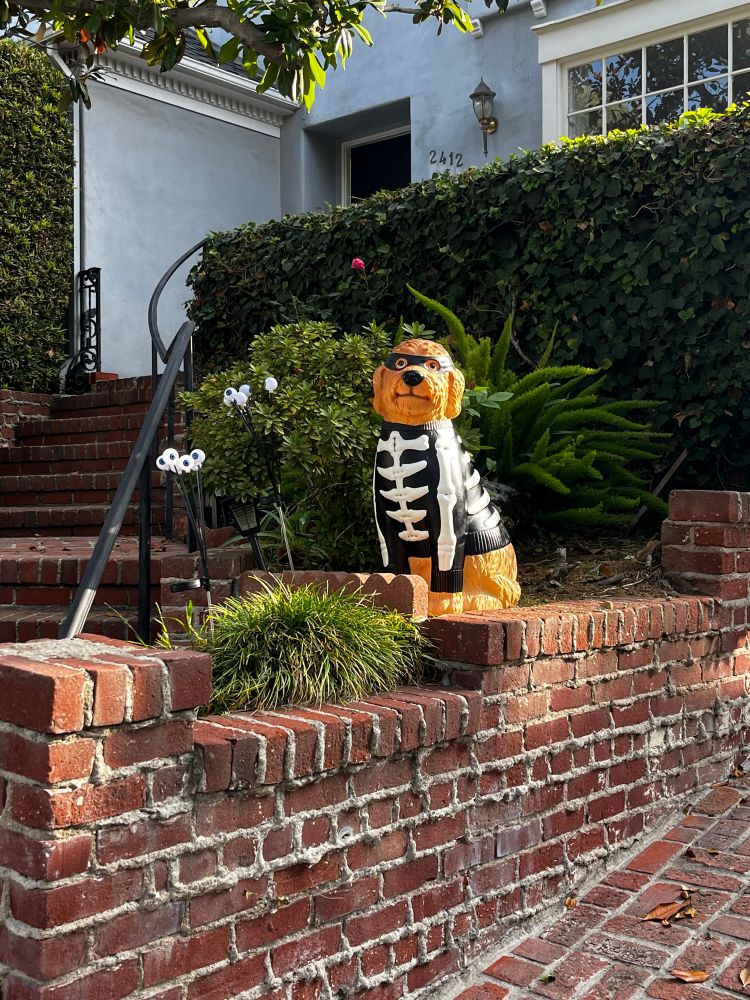 A yard decoration of a fluffy brown dog wearing a skeleton shirt and a black mask with eye holes