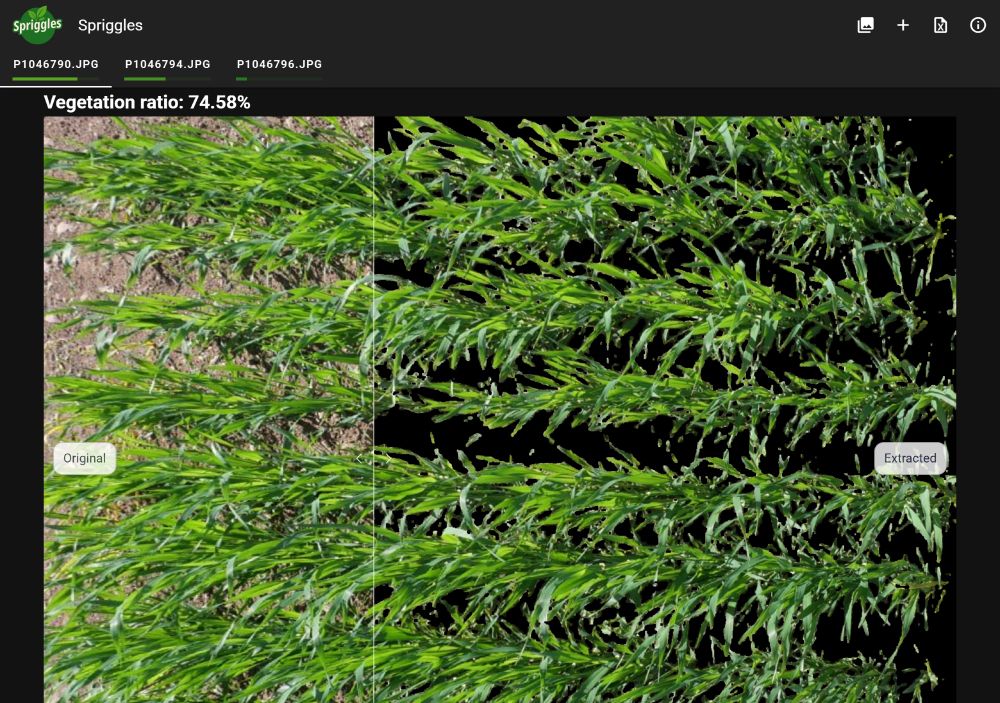 A screenshot of Spriggles showing the geometry transformed selection of the previous screenshot into a right-angled rectangle. The vegetation has been separated from the background and the vegetation index value of ~75% is shown.