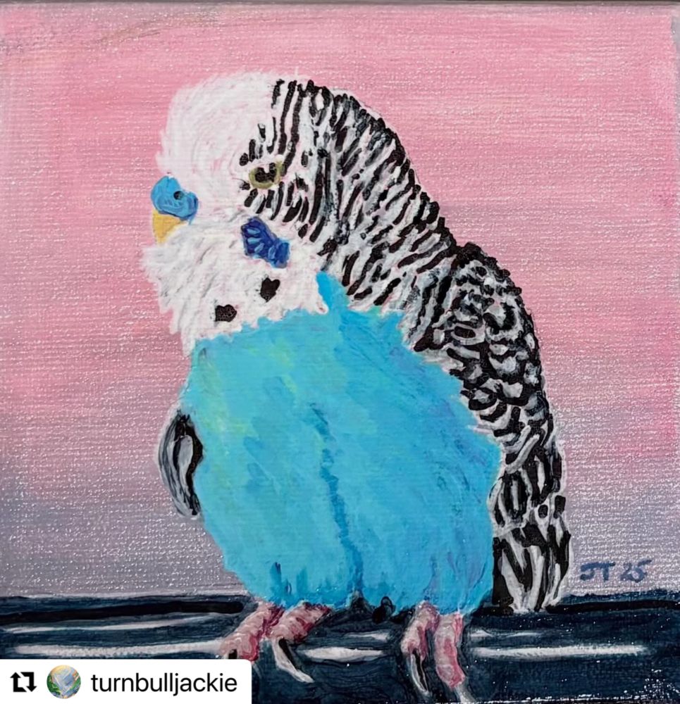 “ Big Bad Budgie” is a 5”x5” acrylic painting of a blue budgie sitting on top of a television by Manitoban artist Jackie Turnbull. 