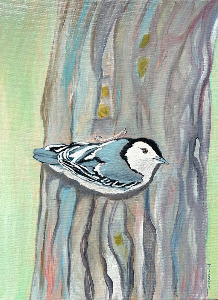 An acrylic painting of a nuthatch bird on a tree. Painted by Winnipeg area Artist Jackie Turnbull.