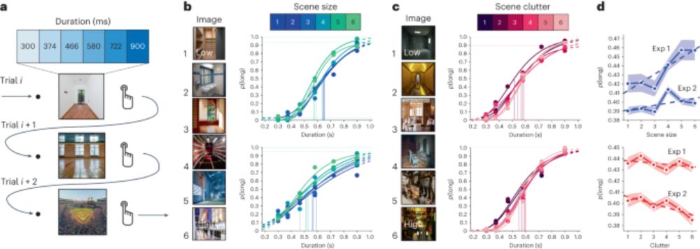 Memorability shapes perceived time (and vice versa) - Nature Human Behaviour