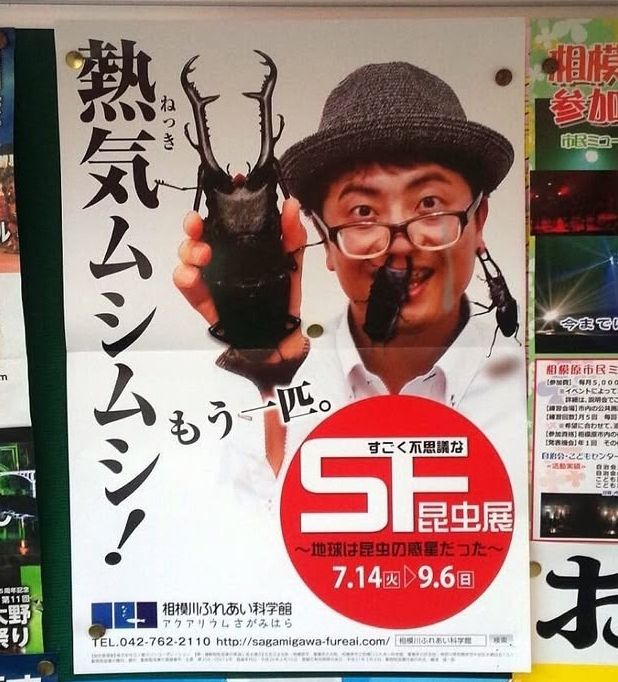 毎年夏が来ると思い出すのが
道端で出くわした、この濃いめのポスター

科学館のポスターなのに昆虫の扱い方がやけに自由すぎてなんか良いんだ…　









#extreme　#ホーロー看板風　#クワガタ
#相模川ふれあい科学館　#アクアリウムさがみはら　