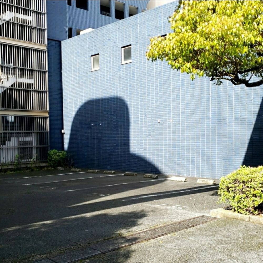 完全にいる




 #美術 #アート #ART #芸術#工芸 #彫刻 #高嶋英男 #写真 #やきもの #現代アート #現代美術 #ギャラリー #美術館 #東京 #うつわ #art #contemporaryart