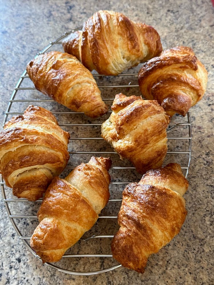 A close up overhead shot photograph of 7 freshly baked croissants cooling on a wire rack on a kitchen counter top.