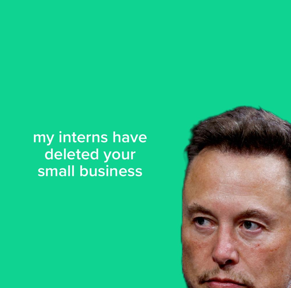 Dumb ass picture of Elon Musk. “My interns have deleted your small business”
