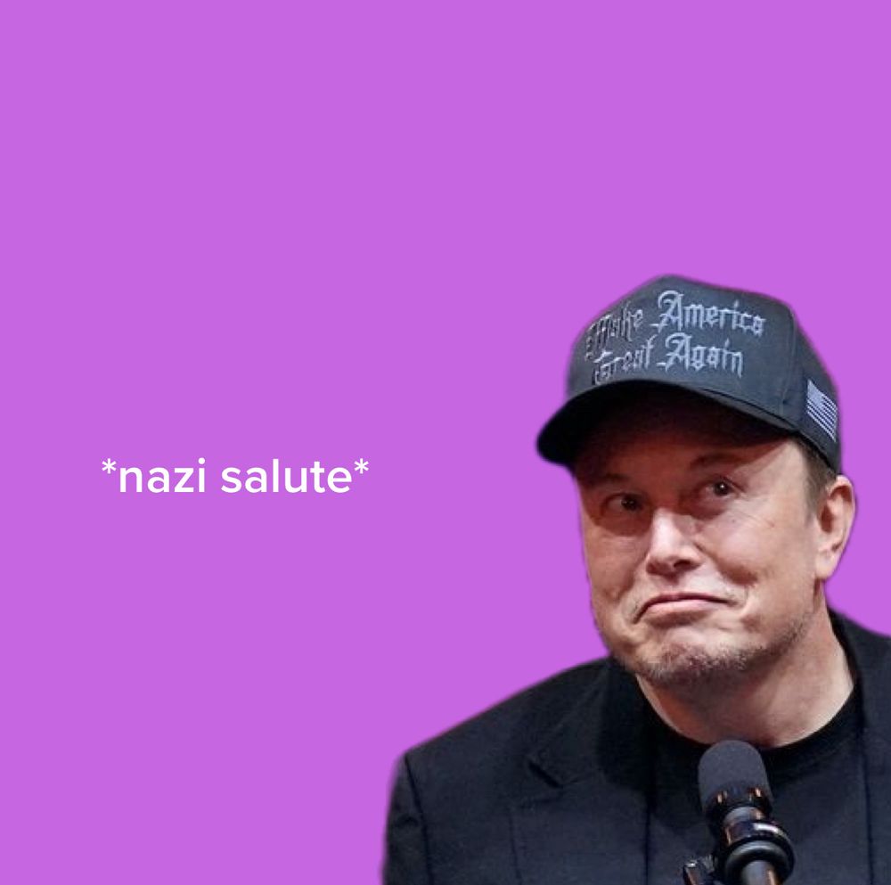 Dumb ass picture of Elon Musk. “*nazi salute*”
