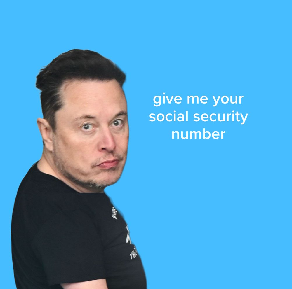 Dumb ass picture of Elon Musk. “Give me your social security card”