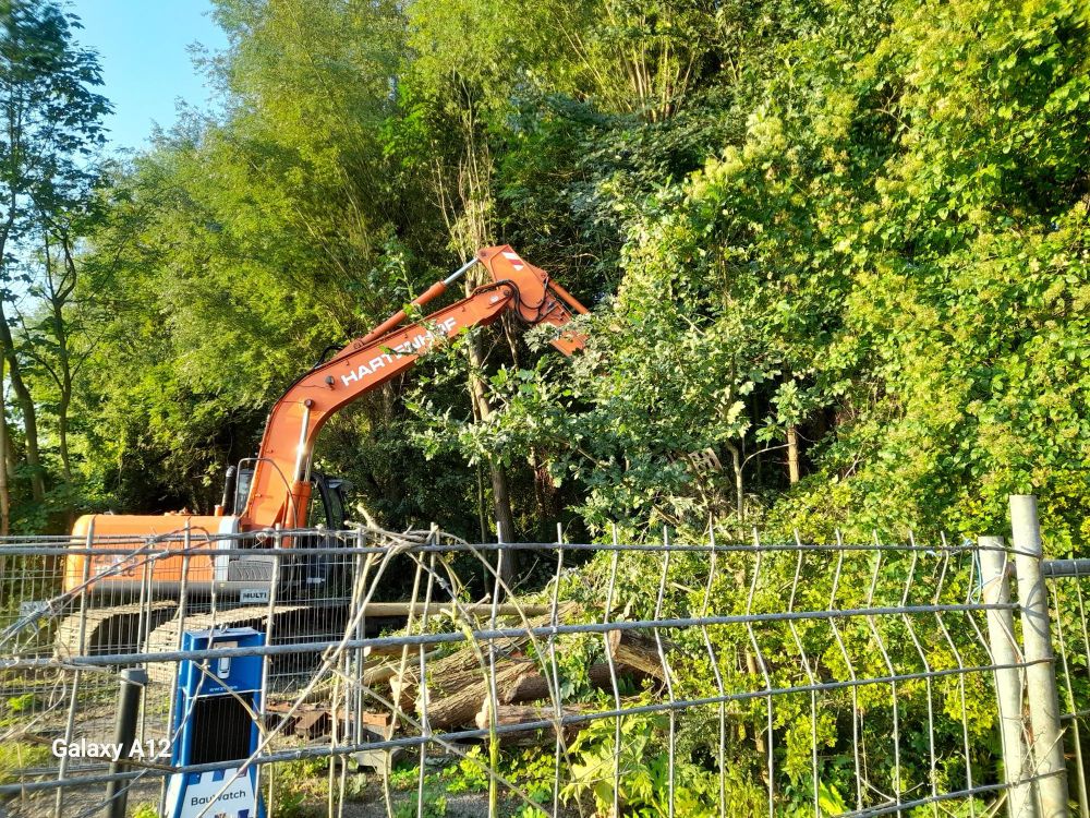 Destructie bos met grof geweld