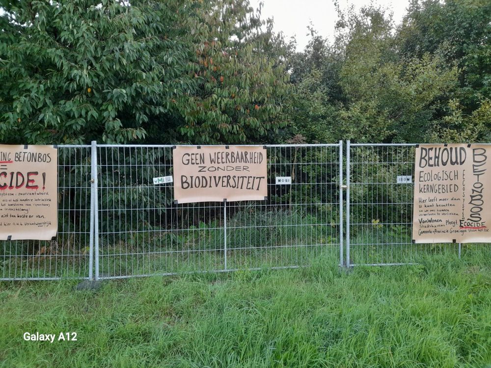 Borden behoud bos en biodiversiteit