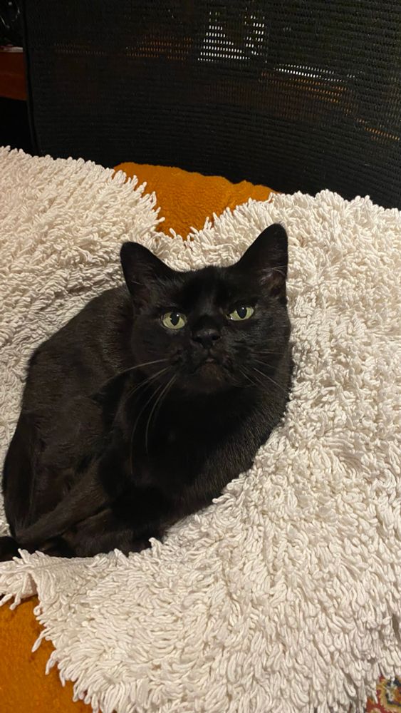 Bela looking beautiful 