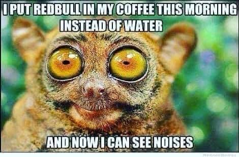 An aye-aye(?) saying “I put RedBull in my coffee this morning instead of water, and now I can see noises” 