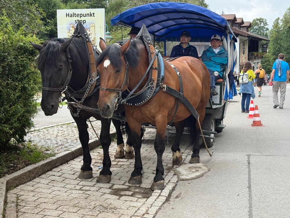 Two horses attached to a carriage and two people sitting in the front. The carriage is at a stop.