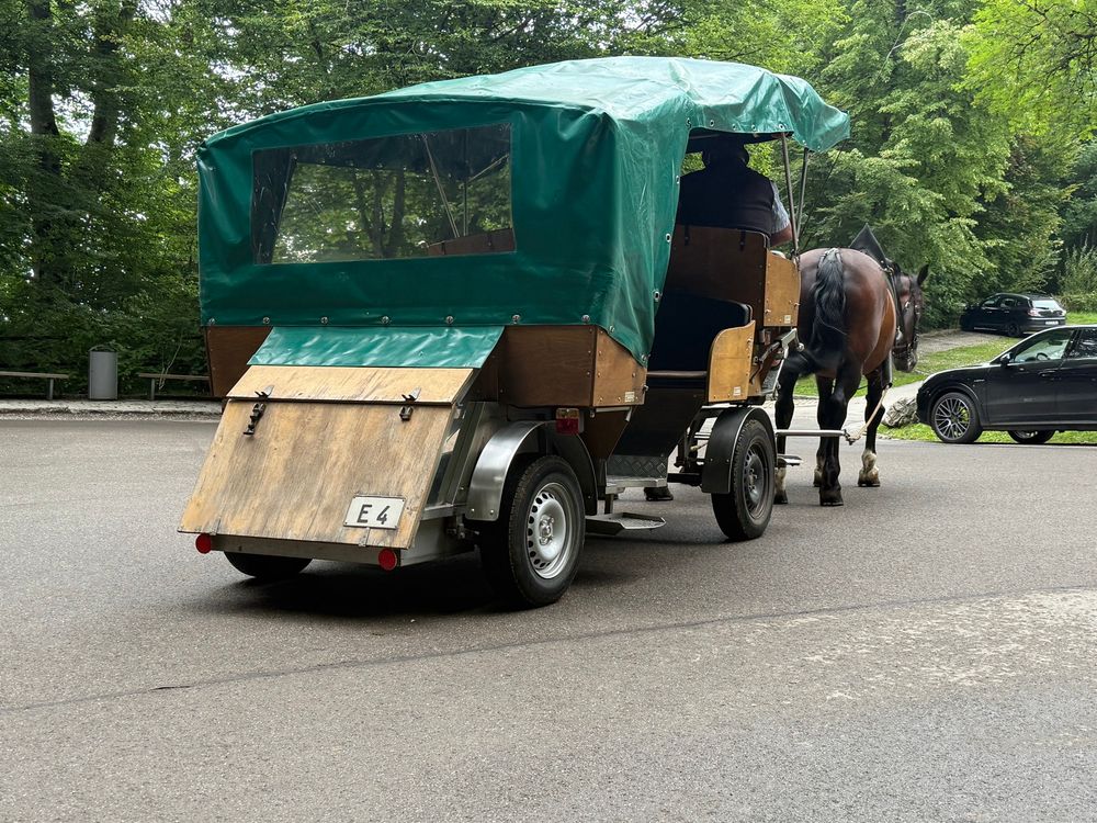 Back of a horse-drawn carriage, where there’s a motor and a license plate reading “E4.”
