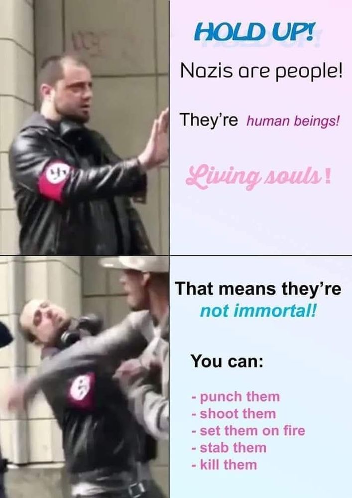 Hold up! Nazis are people, human beings, living souls. That means they're not immortal

You can punch

Shoot 

Set on fire

Stab

And k word them

Beside this text is a picture of a Nazi getting his shit rocked 