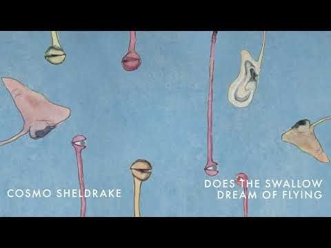 Cosmo Sheldrake - Does the Swallow Dream of Flying