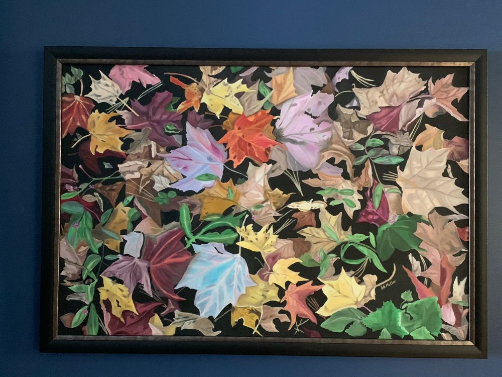 A wide variety of coloured leaves spread across the ground with grass peeping through. 