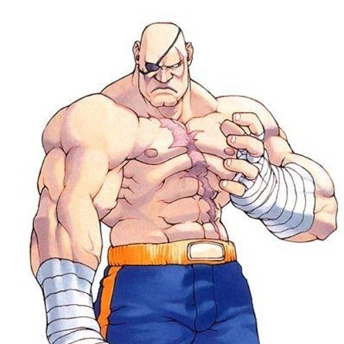 Sagat from the Street Fighter series who is commonly reffered to as the king.