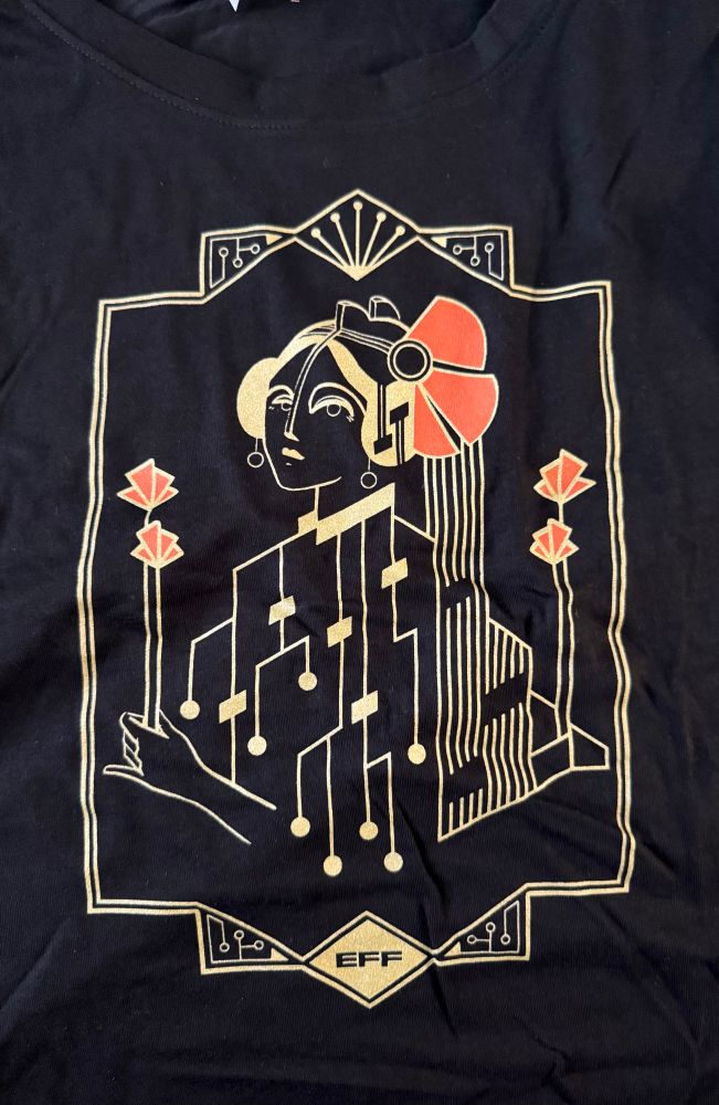 A black Tshirt with art deco circuit board art depicting Ada Lovelace that  has the effect of logo and some red art deco roses 