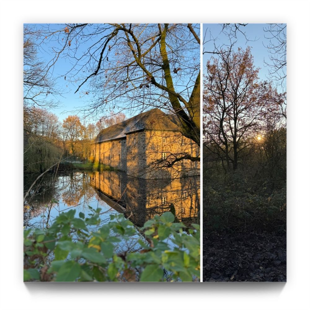 Aussicht aufs Wasserschloss mit Sonne und ein bisschen Wald. 