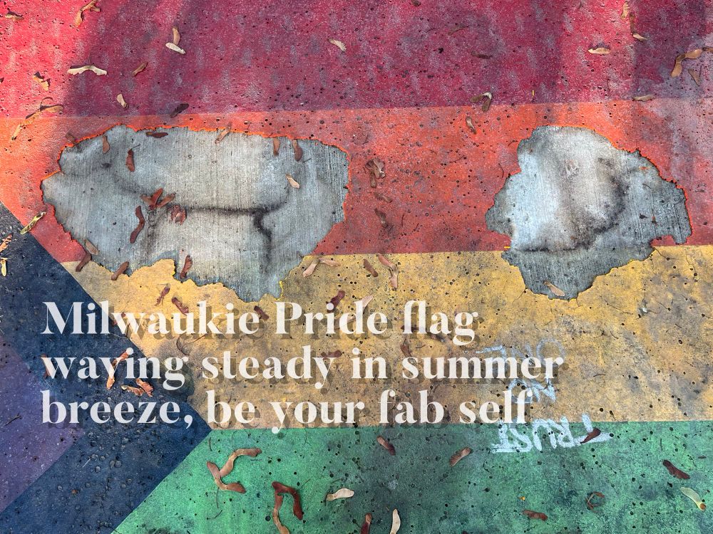 Close image of pride flag street mural along the Kronberg Park boardwalk, leaves and seeds scattered upon it, and two gouged area, where the material had been struck and removed. Overlaid with these words:

Milwaukie Pride flag
waving steady in summer
breeze, be your fab self
