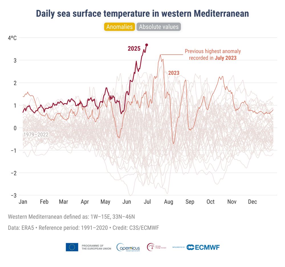 A line chart of daily sea surface temperature anomalies in ERA5 from 1979 to 2025 in the western Mediterranean, showing the record-breaking anomalies in June 2025 and highlighting the previous highest anomaly in July 2023. 