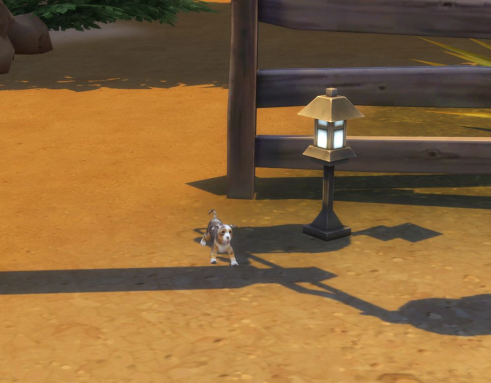 a screenshot of The Sims 4. a small australian shepherd puppy runs into a horse corral. he is smaller than a lantern next to him.