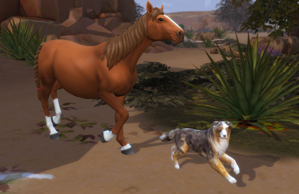 a screenshot of The Sims 4. an australian shepherd dog runs in front of a chestnut horse.