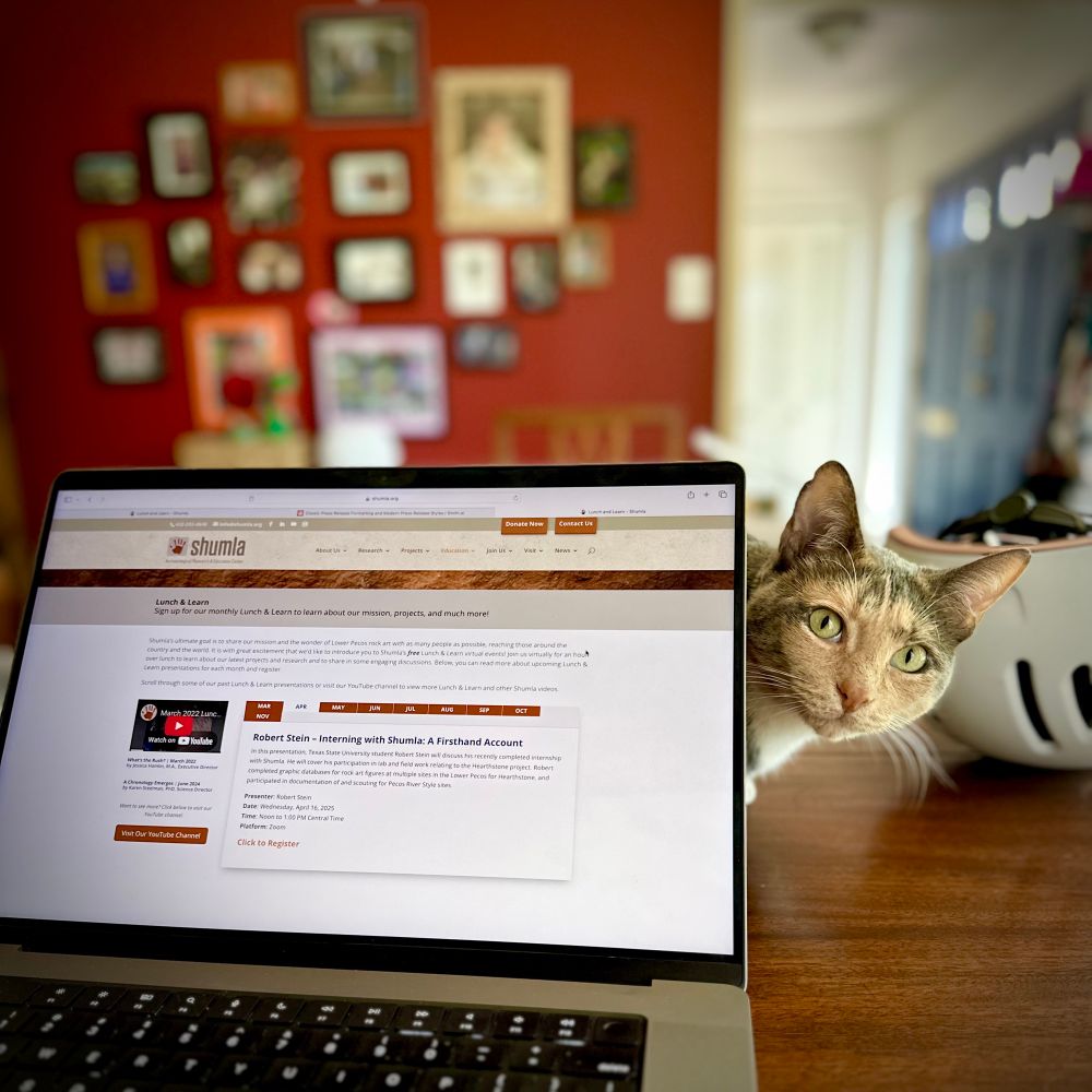 Kitty browsing Shumla Archaeology’s website