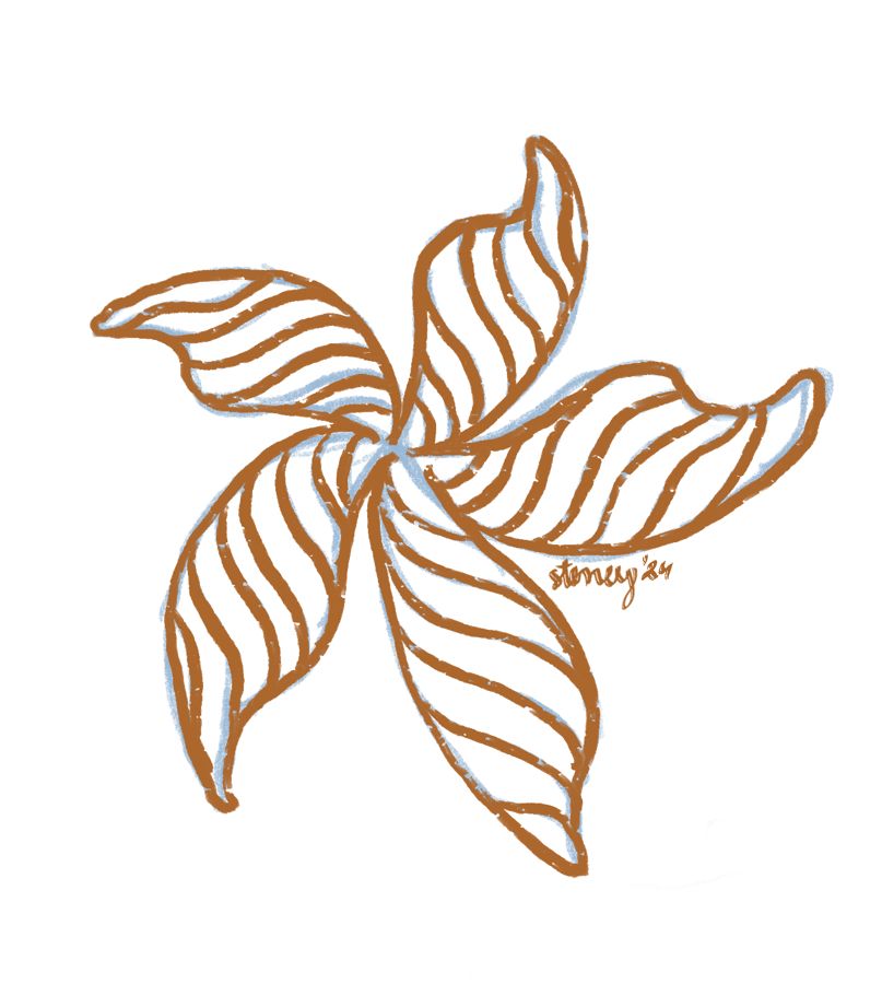 My first sketch on my new iPad!