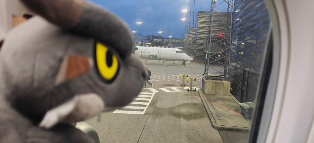 Photo of a Deformed Fatalis Plushie, looking out a plane window 