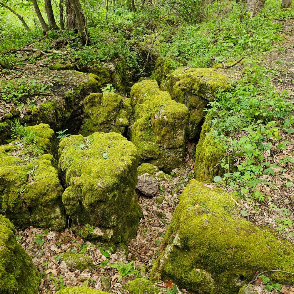 Large moss covered rocks.