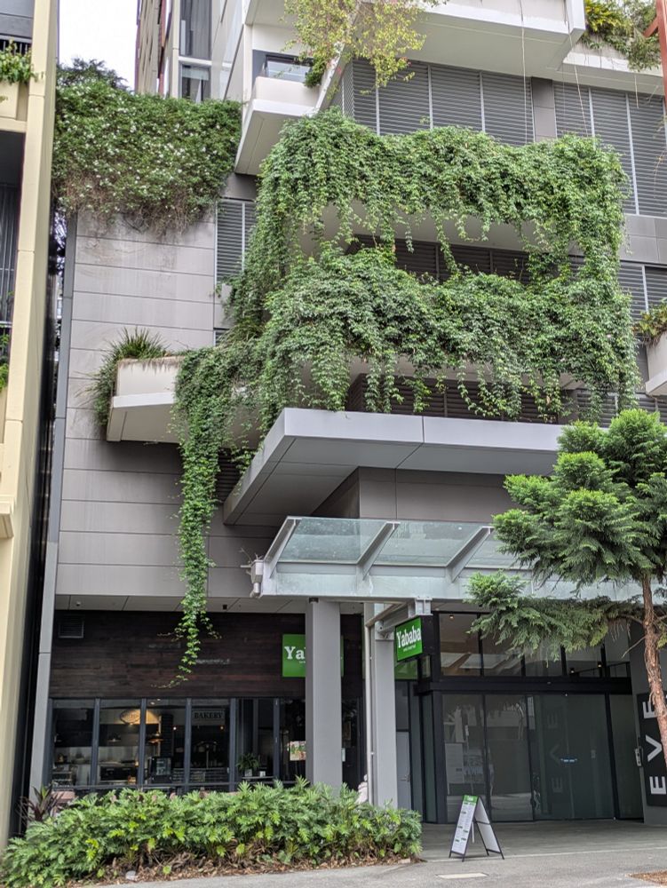 A photo of a green building facade in Brisbane. There are plants cascading down over the edge of a balcony in front of a cafe.