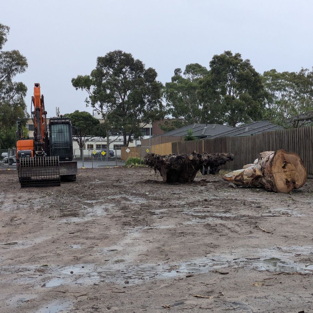 A photo of a muddy construction site. On the left there is a large orange piece of machinery. On the right, there is a huge up-ended tree stump and a large portion of a eucalyptus tree trunk that has recently been clear felled (cut down).