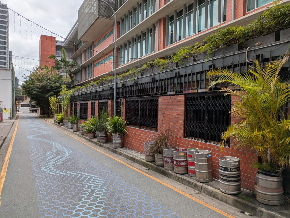 A photo of Fish Lane - a famous laneway in Brisbane's cultural and arts district which is lined with potted palms and small patches of green.