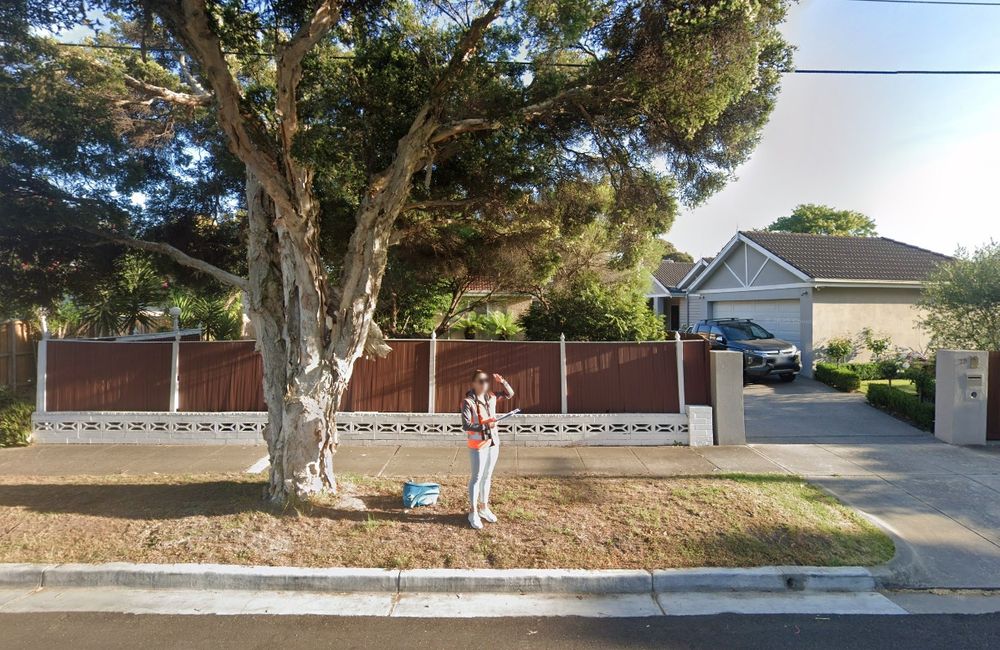 A photo of Dr Jacinta Humphrey standing on a nature strip under a Melaleuca tree on a suburban street. Jacinta is wearing light blue jeans, sneakers, a dark grey jumper and a high-vis orange vest. She is holding a clipboard and looking up at a tree out of frame, while shielding her eyes against the sun. A teal-coloured backpack rests on the ground behind her. It's a sunny day with blue skies. Jacinta's face been blurred by Google Street View.