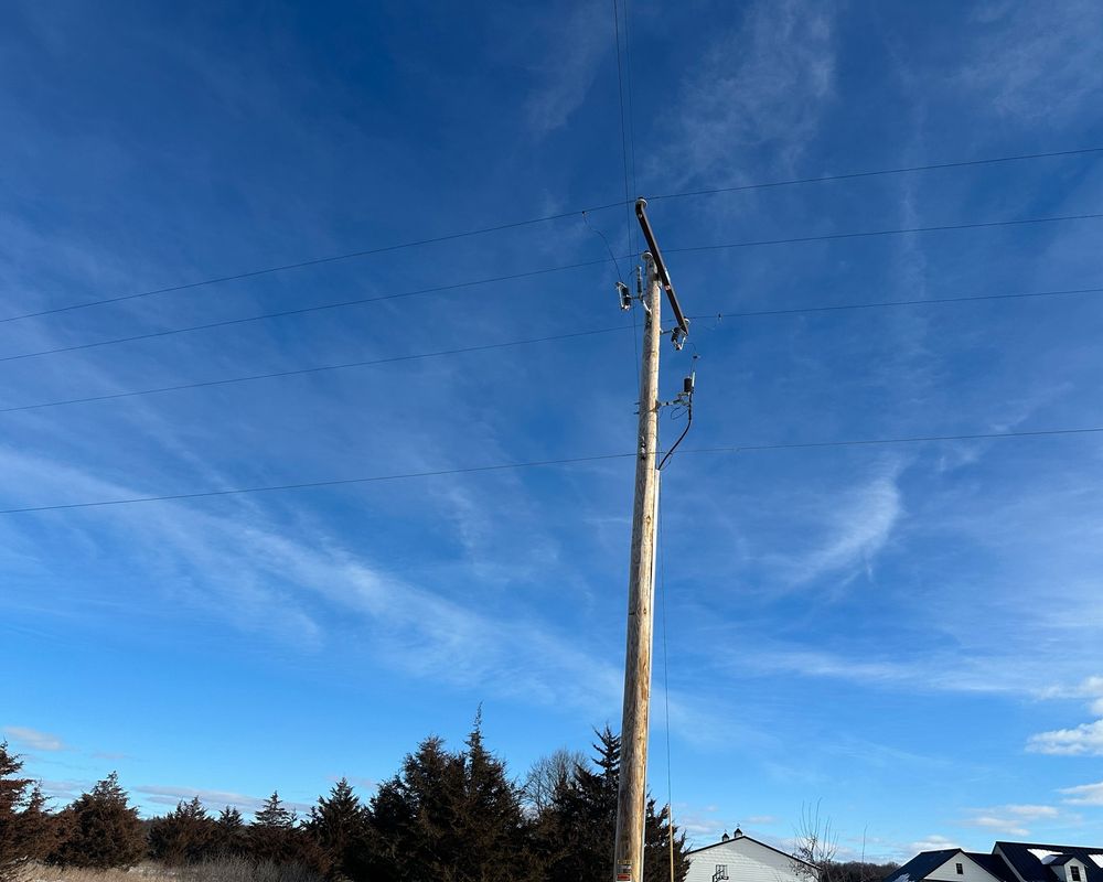 A photo of a power line cutting through blue sky with wispy clouds, houses to its right and pine trees to its left.