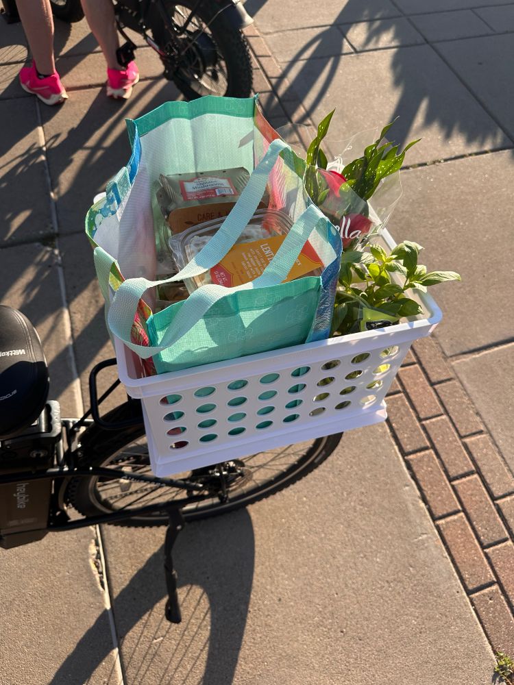 Milk crate zip tied to the rear rack of a bike, with groceries and live plants in it. 