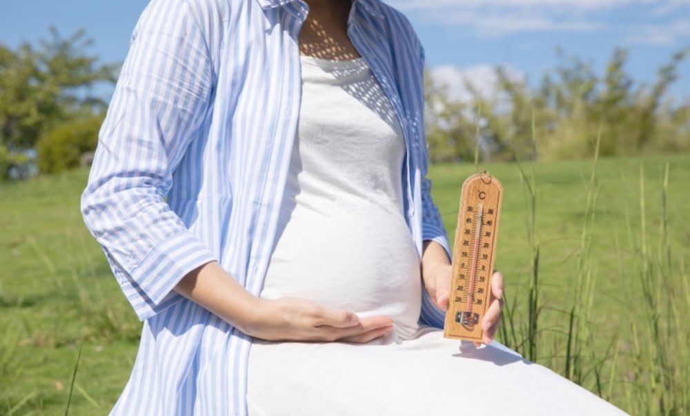 Study: Extreme Heat Exposure in Early Pregnancy Increases Risk of Neural Tube Defects | Rollins School of Public Health | Emory University | Atlanta GA