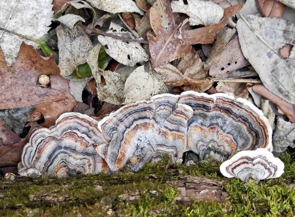 Photo by S. Bruins, 2018