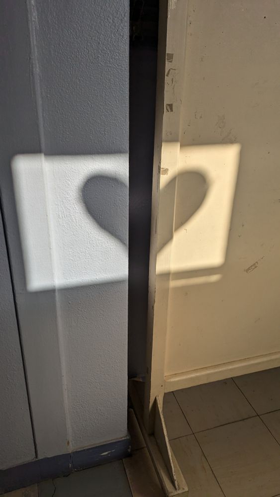 L'ombre d'un cœur affiché sur une fenêtre d'école se reflète sur un mur et un panneau en bois.
