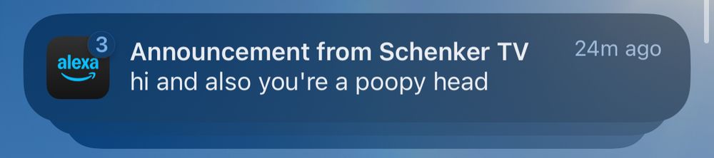 An Alexa notification that reads “Announcement from Schenker TV: hi and also you're a poopy head”