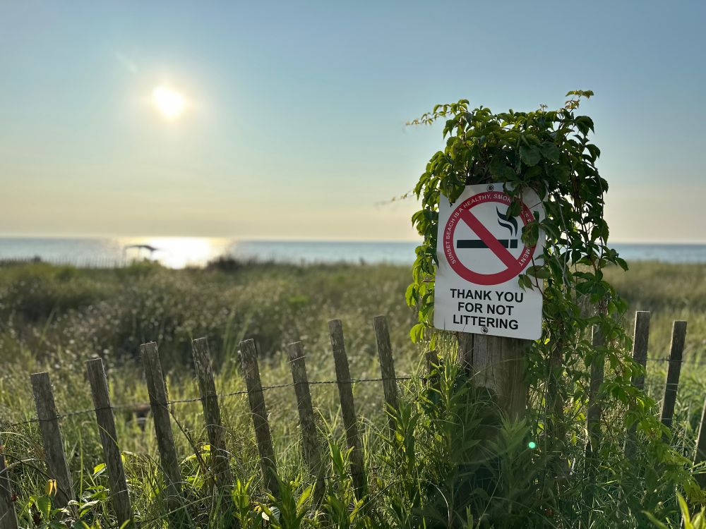 A photo of a “no smoking” sign that says “thank you for not littering” in front of a beach at sunset