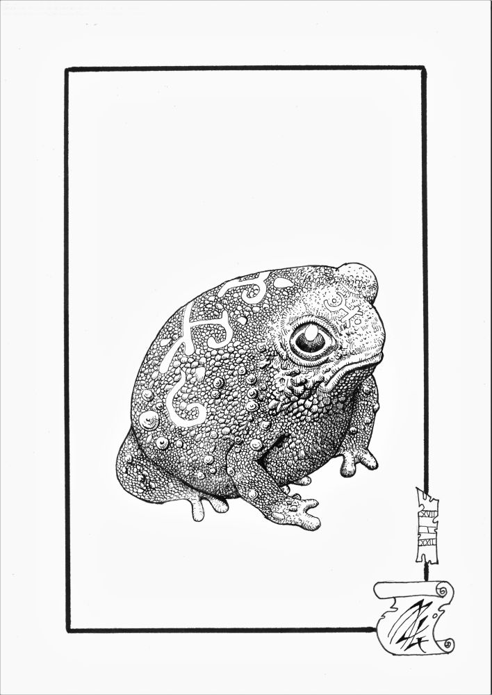 Dessin d'une petite grenouille dodue, des motifs ésotériques sont visibles sur sont dos